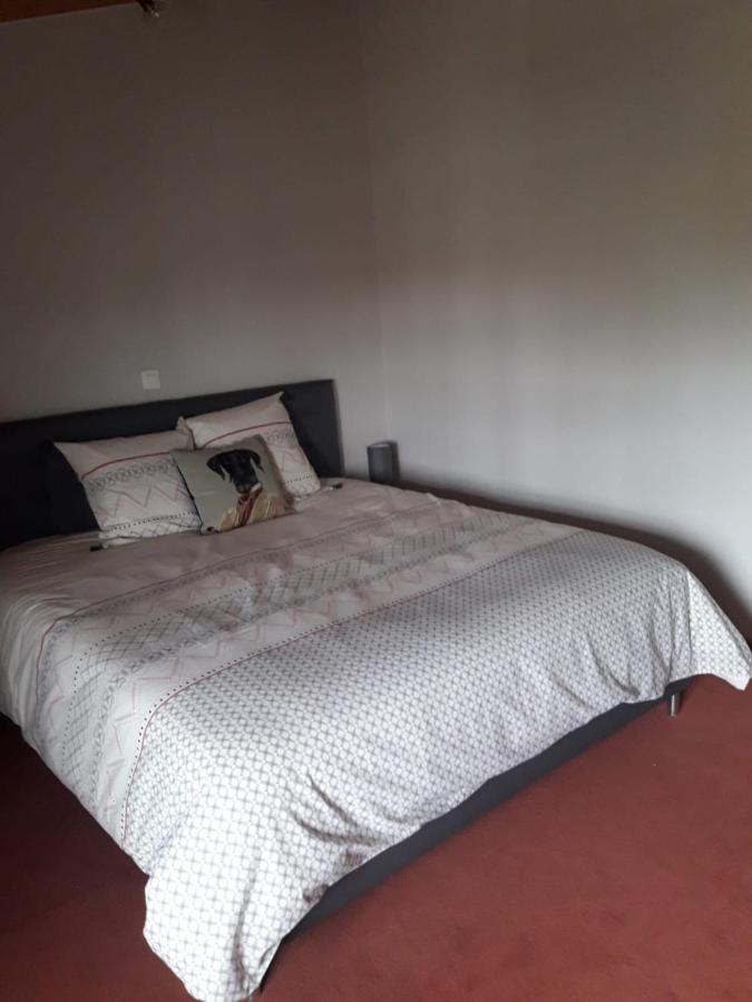 La Ferme Du Puits Carre Bed & Breakfast Lamasquere Exterior photo